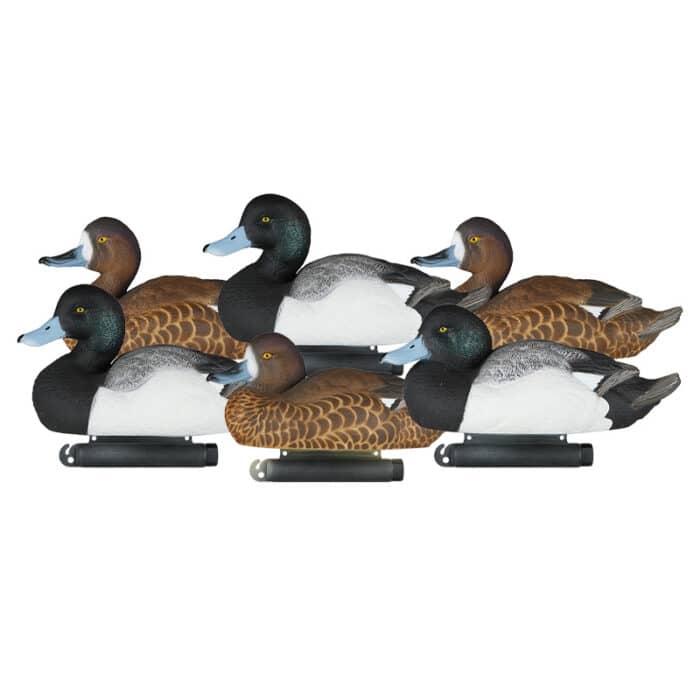 X-TREME BLUEBILLS