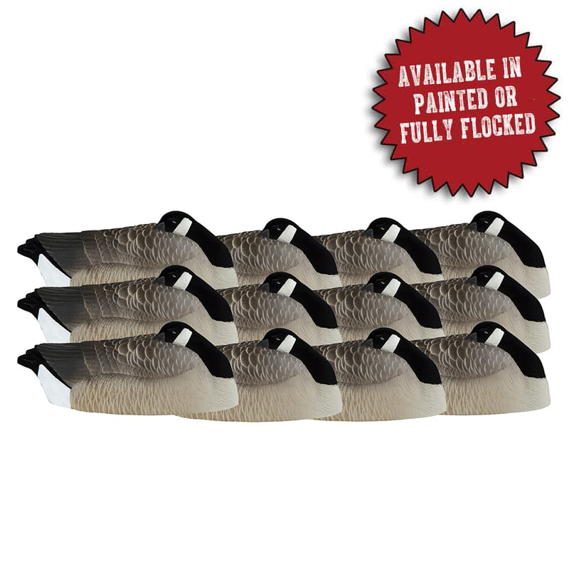 X-TREME SLEEPER SHELLS