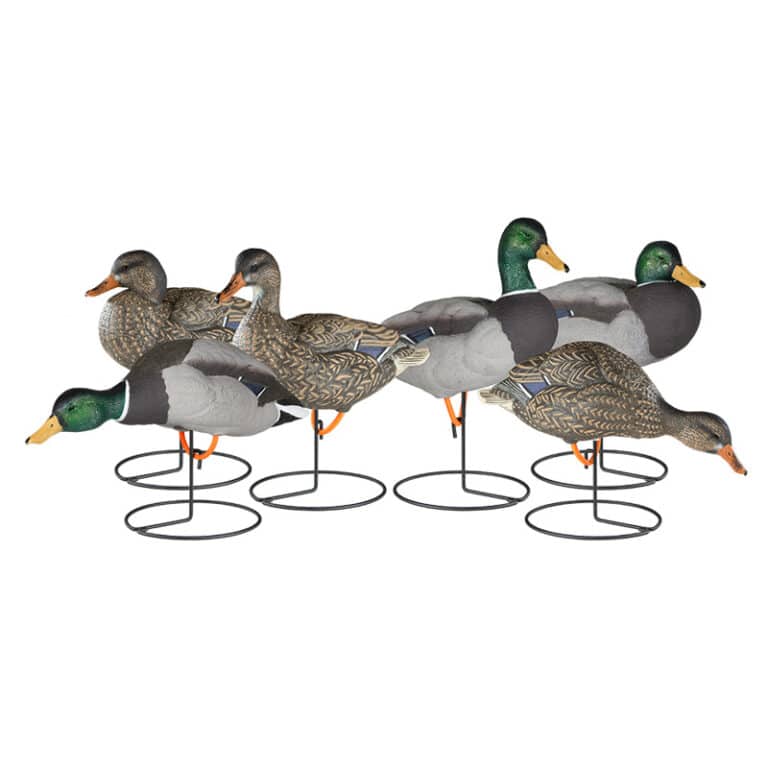 Dakota Decoy Company Goose Decoys Duck Decoys