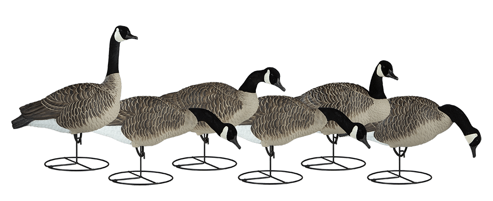 South Dakota is home to largest goose producer in the U.S.