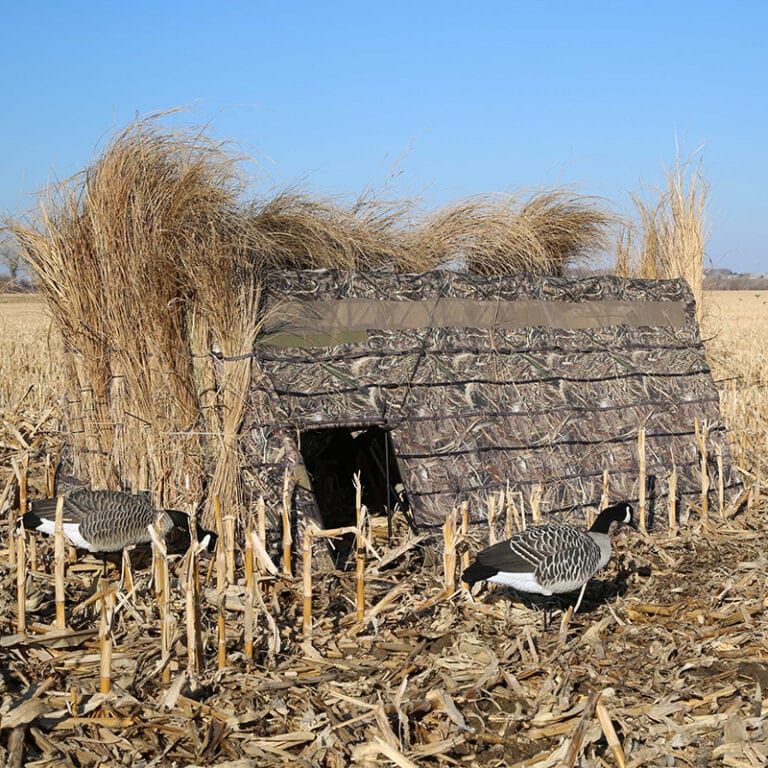 XSERIES FIELD BLIND