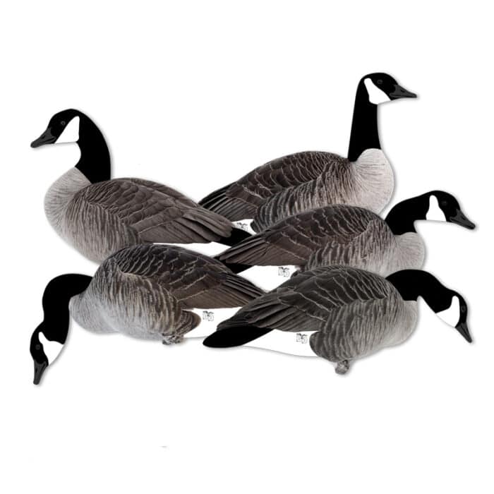 Goose Decoys by Dakota Decoy Company