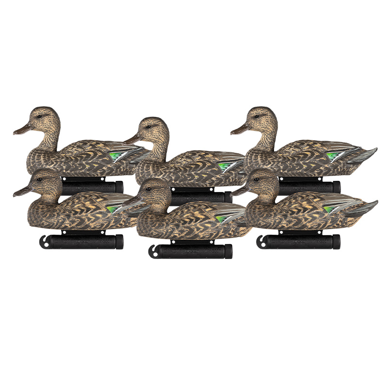 X-TREME EARLY SEASON TEAL