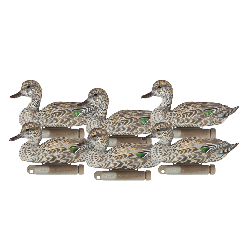 X-TREME EARLY SEASON TEAL
